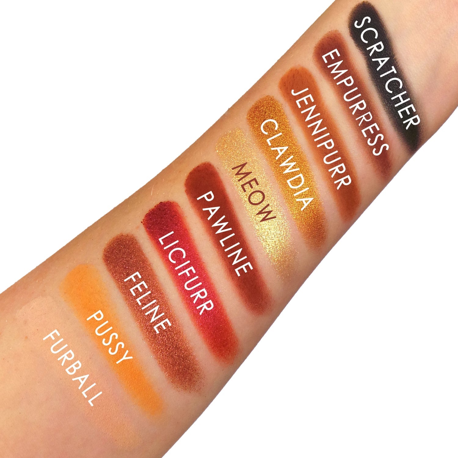 Party Animals 10 Eyeshadow Palette Eyeshadow Palettes by Rude Cosmetics | Fleurcouture