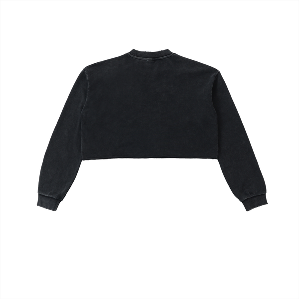 Sweatshirt,cropped,croptop