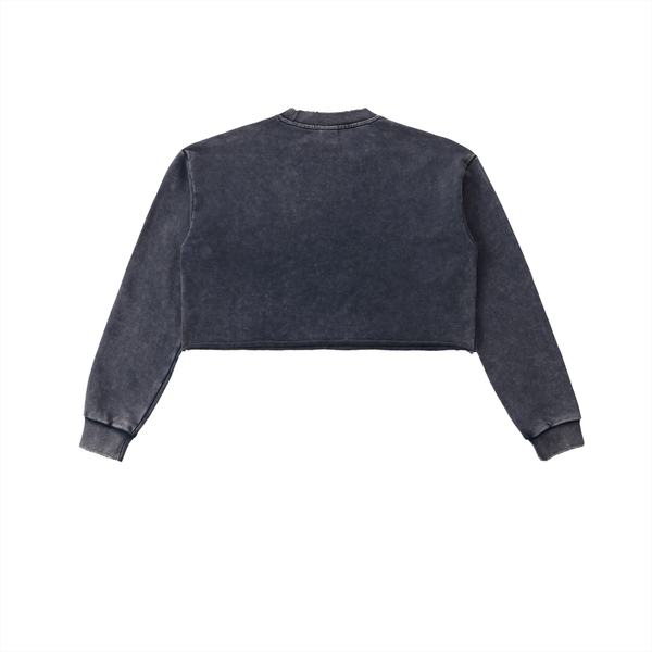 Sweatshirt,cropped,croptop