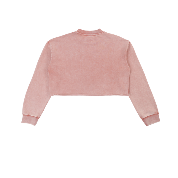 Sweatshirt,cropped,croptop