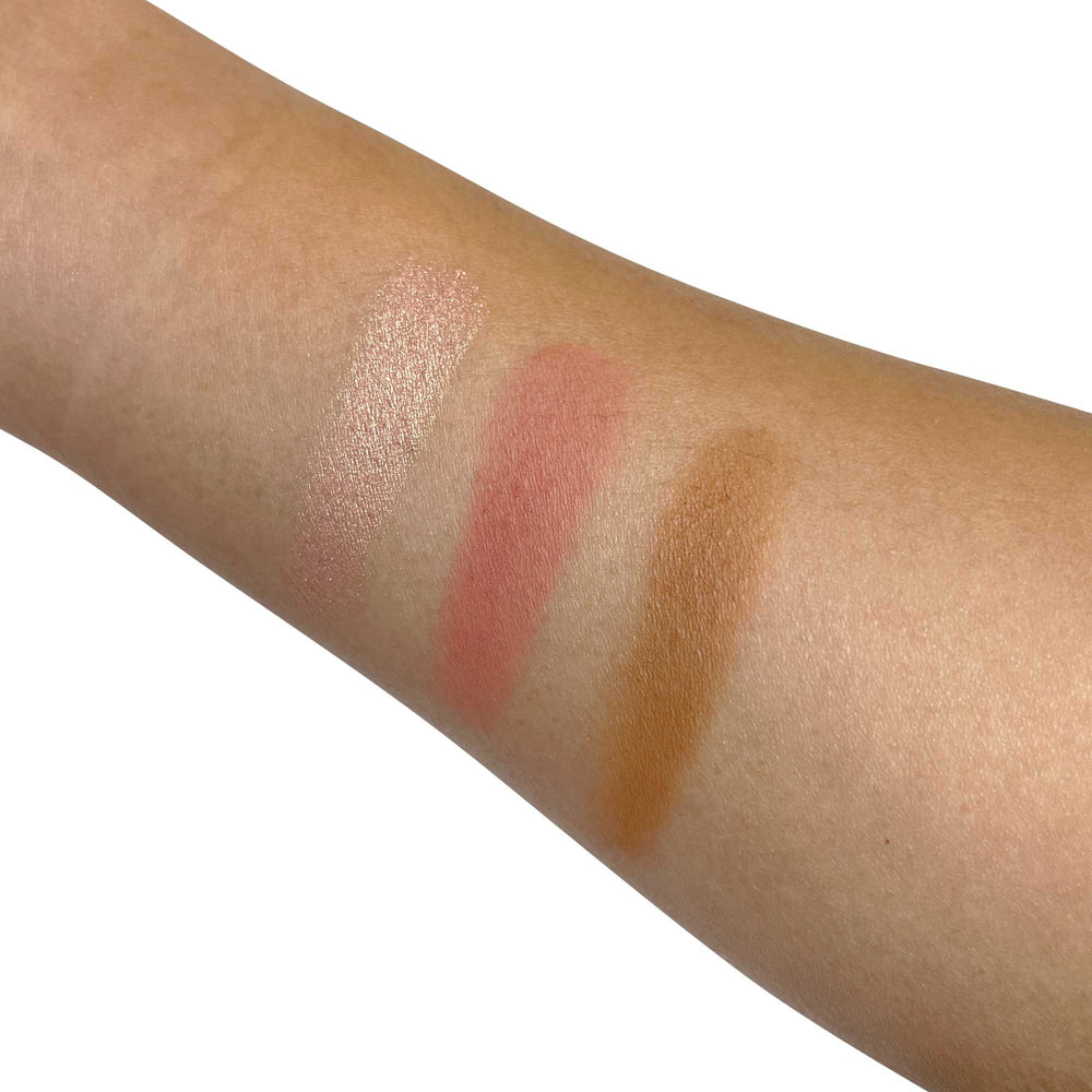 Pro Cheek Palette.png