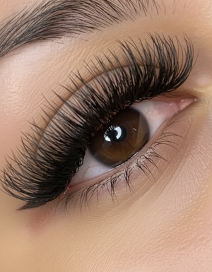 Wispy Volume Lashes
