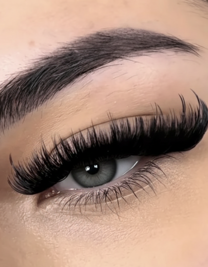 Mega Volume Lashes