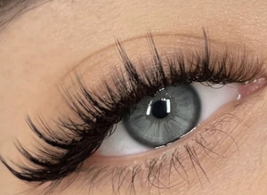 Spikes (for Lash clusters)