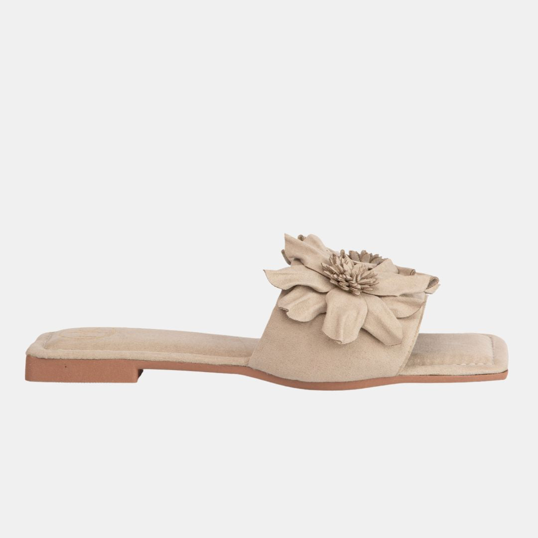 Kaya 3 Taupe 6 FLATS by MODAPASSO | Fleurcouture