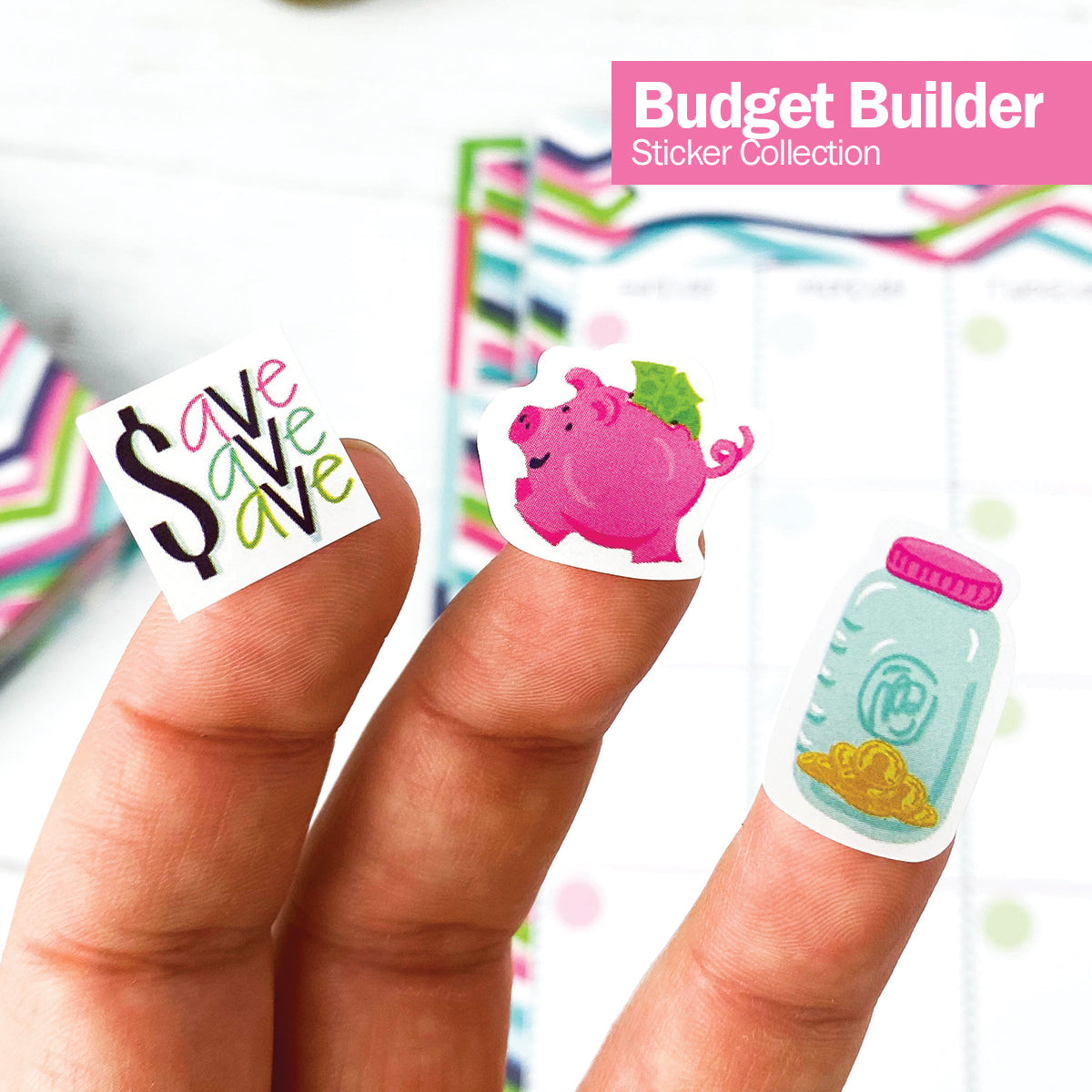 NEW! Budgeting Bundle | Budget Binder™ Planner + Accessories by Denise Albright® | Fleurcouture