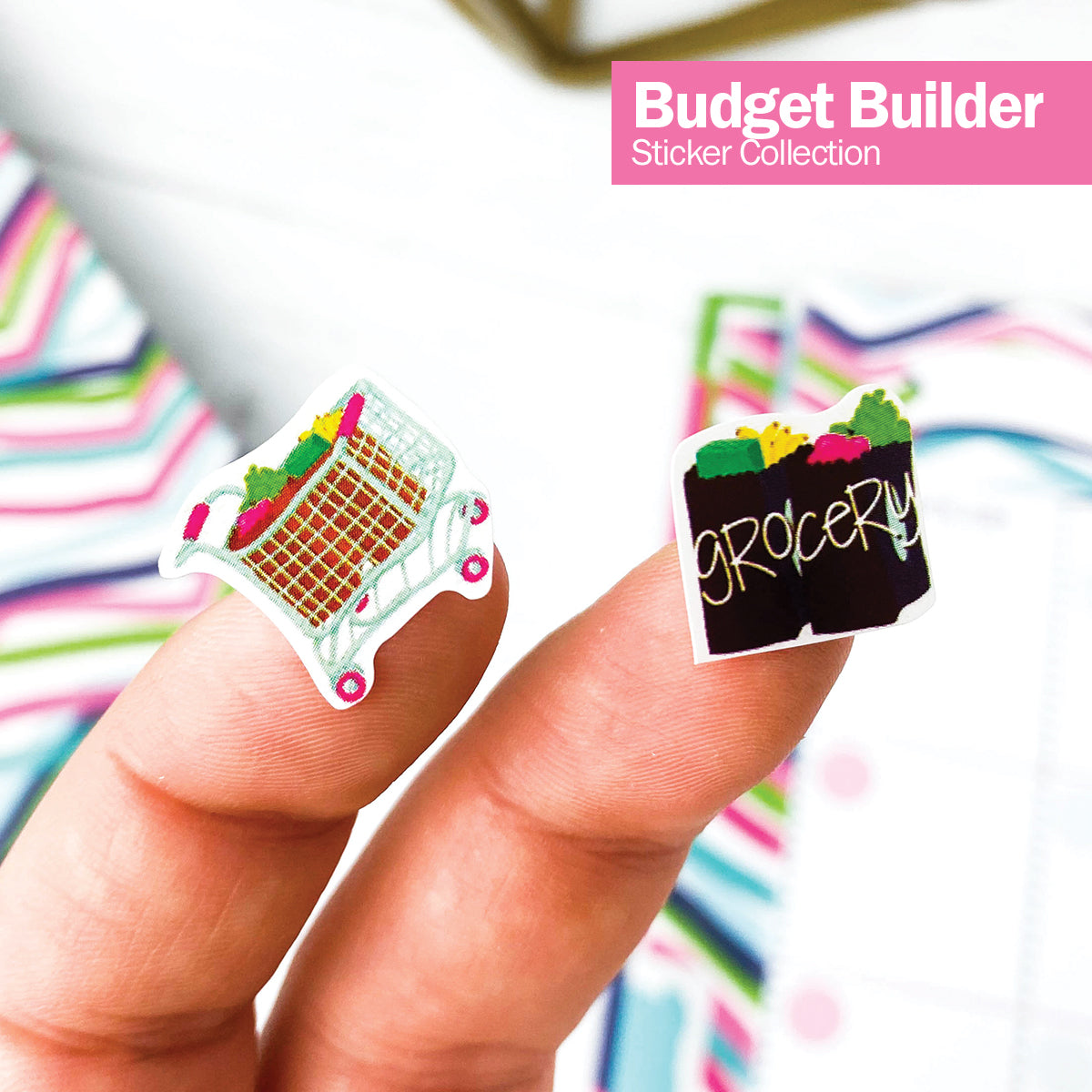 NEW! Budgeting Bundle | Budget Binder™ Planner + Accessories by Denise Albright® | Fleurcouture